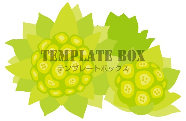 ふきのとうのイラスト 春 野草 山菜 フキノトウ 自然 山菜採り 春に使えるワンポイントカット 無料イラスト素材 Templatebox