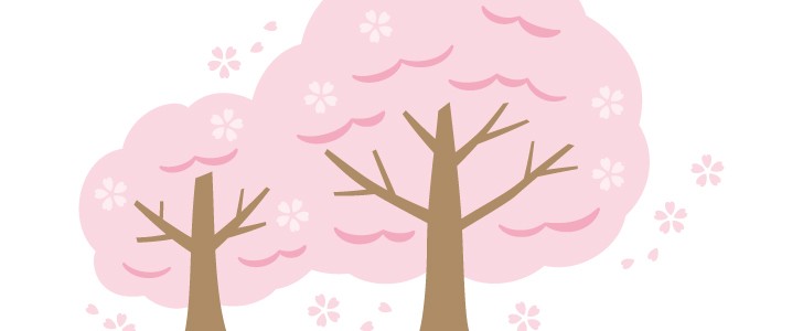 桜｜桜の木｜さくら｜サクラ｜花｜春｜入学式｜四季｜無料イラスト素材｜無料｜ダウンロード