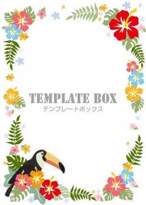 オニオオハシやハイビスカスなど南国をイメージしたトロピカルフレームがダウンロード 無料イラスト素材 Templatebox