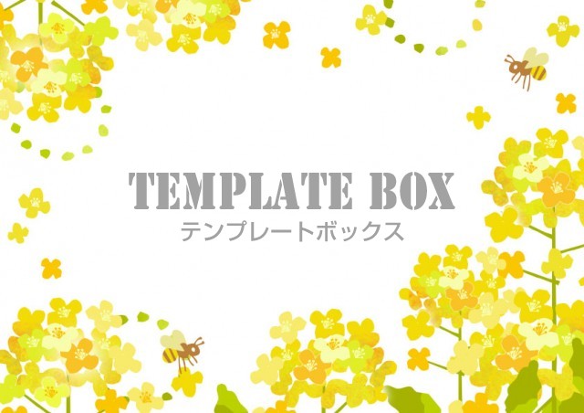 季節の花 3月 春 菜の花がイラストでデザインされたフレーム 背景 卒園 資料 無料イラスト素材 Templatebox