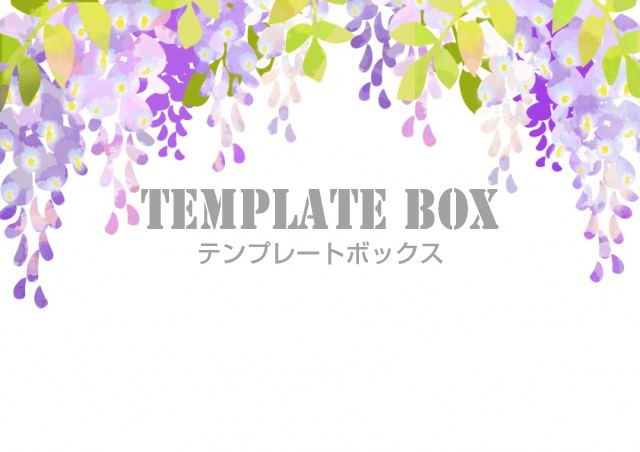 季節の花 5月 春 藤の花 藤棚のイラストフレーム メッセージカード パンフレット 無料イラスト素材 Templatebox