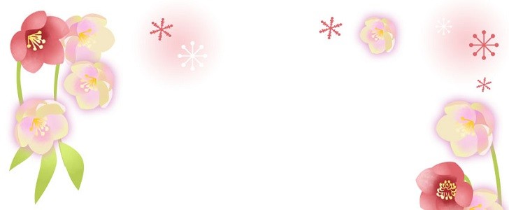 季節の花 12月 冬 クリスマスローズのフレーム 案内状 お礼状 町内会のお知らせ 無料イラスト素材 Templatebox