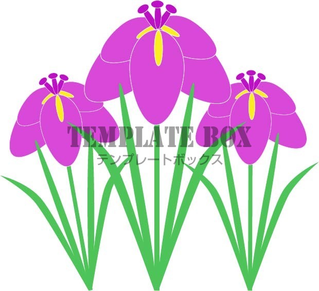 5月のイメージのワンポイントイラスト 紫色の美しいショウブの花 無料イラスト素材 Templatebox