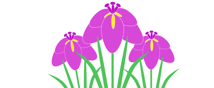5月のイメージのワンポイントイラスト 紫色の美しいショウブの花 無料イラスト素材 Templatebox