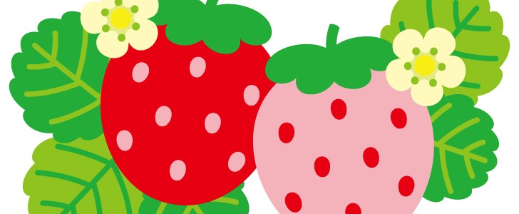 ふたつ並んだイチゴのイラスト 春 いちご 苺 果物 フルーツ かわいい 春に使えるワンポイントカット 無料イラスト素材 Templatebox