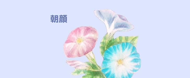 朝顔の花 葉のシンプルなワンポイントイラスト 梅雨 6月のイラスト 無料イラスト素材 Templatebox