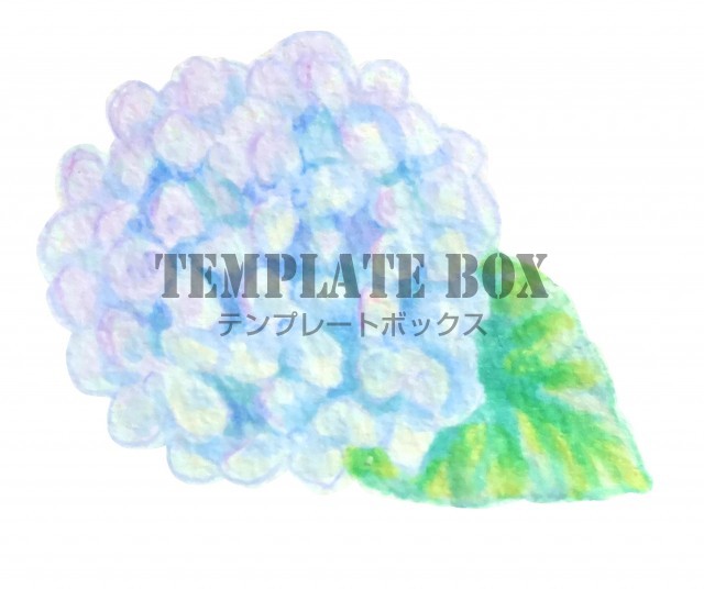 手描きのシンプルな一輪の紫陽花のワンポイントイラスト 6月のイラスト 無料イラスト素材 Templatebox