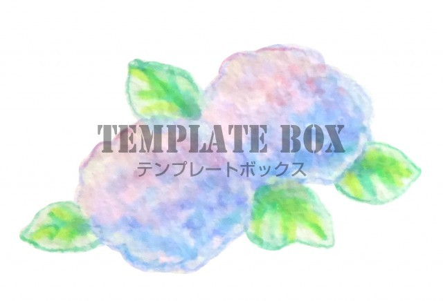 アナログタッチの紫陽花のシンプルなワンポイントイラスト 6月のイラスト 無料イラスト素材 Templatebox