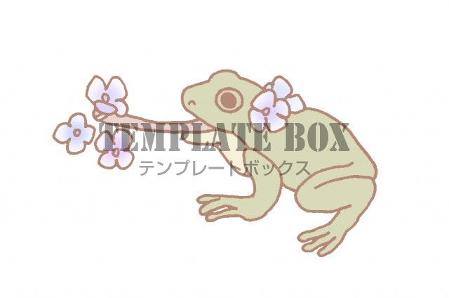 紫陽花の花を舌を伸ばして取っているカエルのワンポイントイラスト 無料イラスト素材 Templatebox