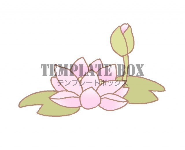 6月に咲いている花 ピンク色の睡蓮の花とつぼみのワンポイントイラスト 無料イラスト素材 Templatebox