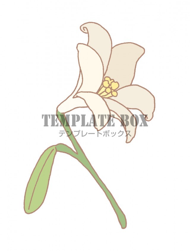 5 8月頃に咲いている花 一輪のユリの花とつぼみのシンプルなワンポイントイラスト 無料イラスト素材 Templatebox