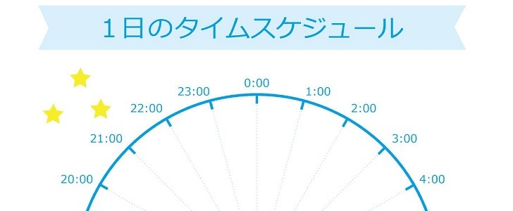 かわいい 1日のタイムスケジュール Pdf 手書き 簡単に印刷 24時間 時計イラスト 無料テンプレート Templatebox