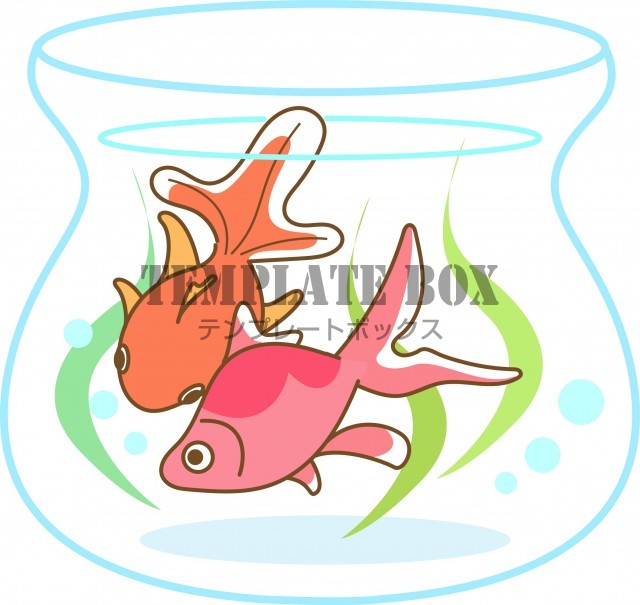 7月のイメージのワンポイントイラスト 夏 金魚 水槽の中を泳ぐ2匹の金魚 無料イラスト素材 Templatebox
