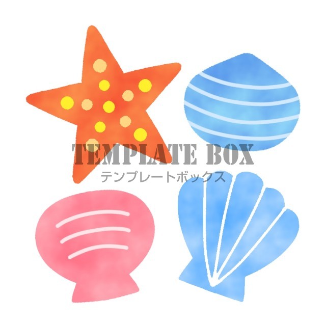 4種類のシェル7月のイラスト 貝 ヒトデ 海 7月 海辺 無料イラスト素材 Templatebox