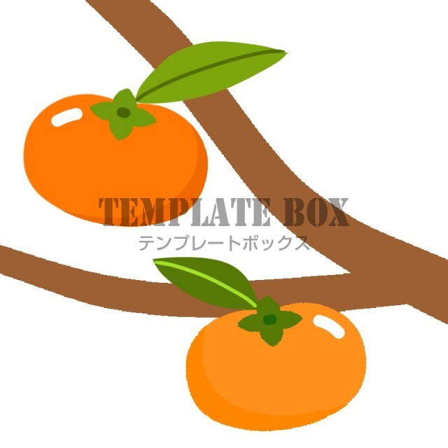 枝と葉っぱ付き柿11月のイラスト 11月の広報用ワンポイントなどに 無料イラスト素材 Templatebox