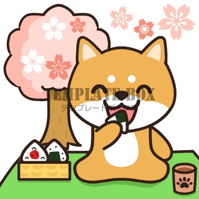 お花見でおむすびを食べる茶しば月の無料イラスト・お花見柴犬さくらワンポイント