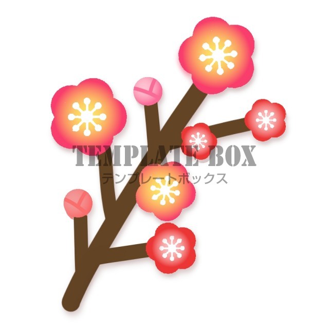 梅の花枝付き３月の無料イラスト素材・梅のイベント　3月ワンポイント