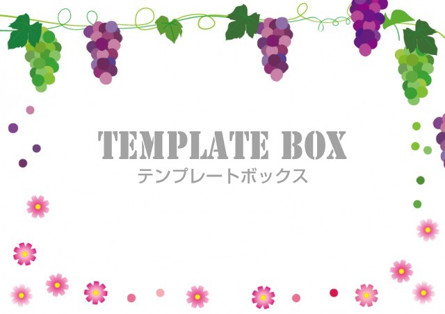 9月 巨峰とマスカット 秋桜 手書き風のデザイン かわいいイラストのフレーム 飾り枠 フリー素材 無料イラスト素材 Templatebox